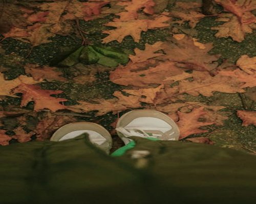 A close-up view of walking shoes on a leafy path in a city square, illustrating light physical activity